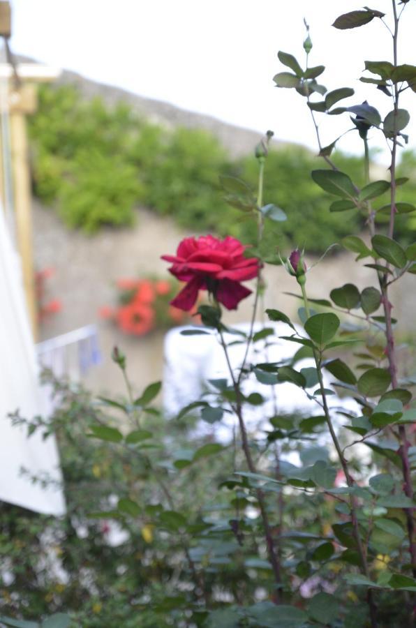 Le Clos Des Pommes Bioncourt Exterior foto